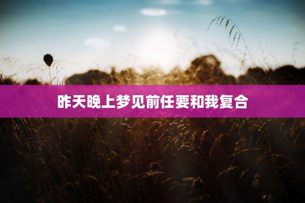 昨天晚上梦见前任要和我复合