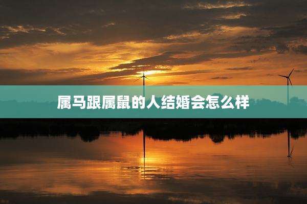 属马跟属鼠的人结婚会怎么样