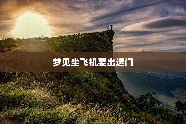 梦见坐飞机要出远门