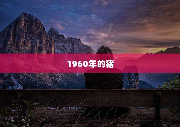 1960年的猪