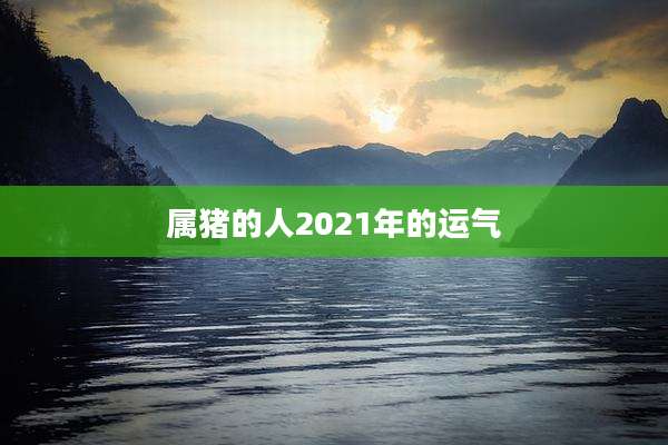 属猪的人2021年的运气