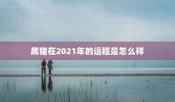 属猪在2021年的运程是怎么样