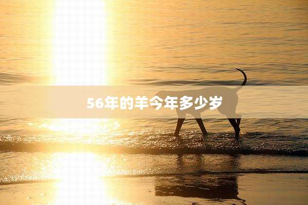 56年的羊今年多少岁