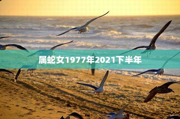 属蛇女1977年2021下半年
