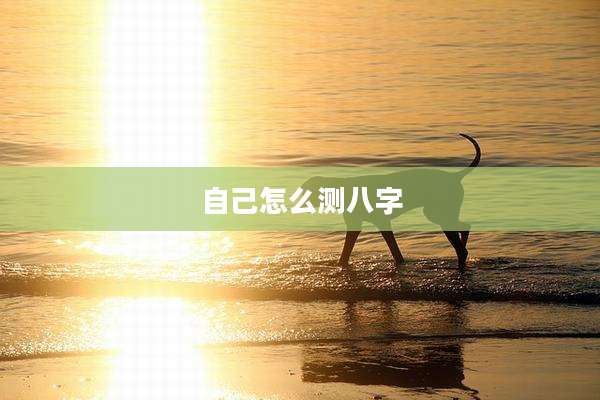 自己怎么测八字