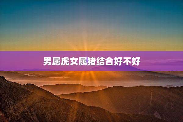 男属虎女属猪结合好不好
