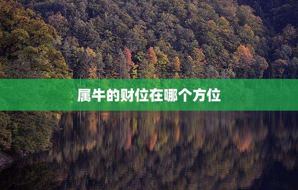 属牛的财位在哪个方位