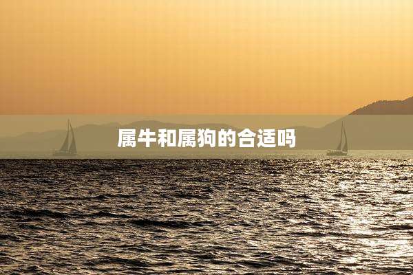 属牛和属狗的合适吗