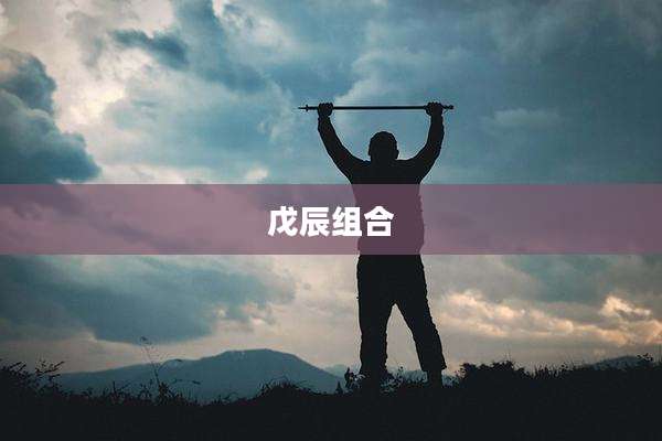 戊辰组合