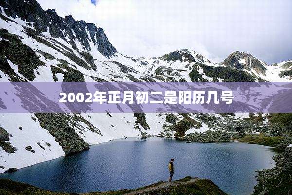 2002年正月初二是阳历几号