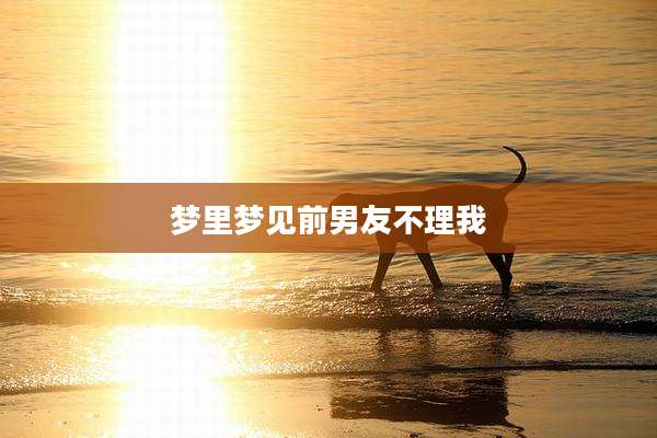 梦里梦见前男友不理我