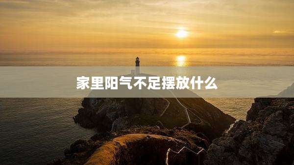 家里阳气不足摆放什么