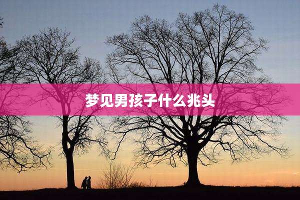 梦见男孩子什么兆头