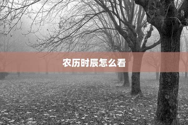 农历时辰怎么看