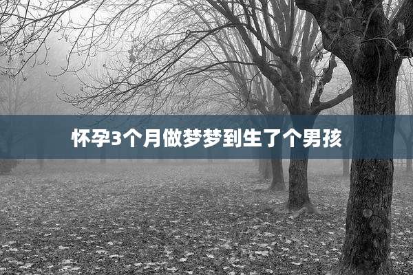 怀孕3个月做梦梦到生了个男孩