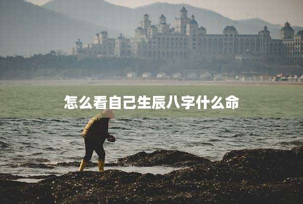 怎么看自己生辰八字什么命