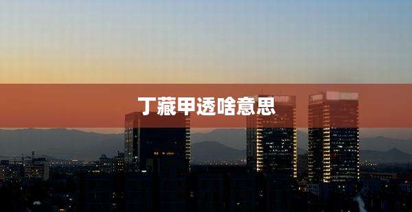 丁藏甲透啥意思