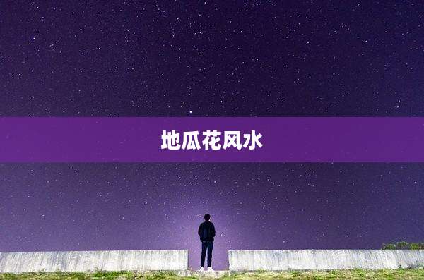 地瓜花风水