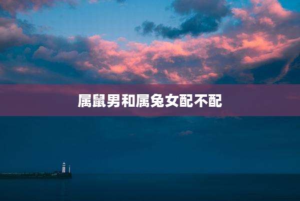 属鼠男和属兔女配不配