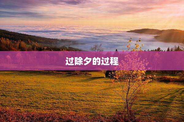 过除夕的过程