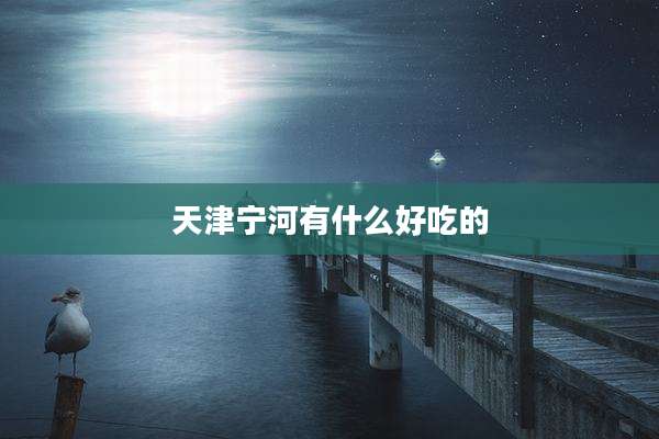 天津宁河有什么好吃的