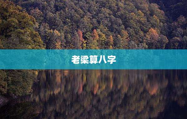 老梁算八字