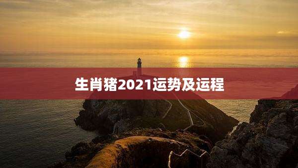 生肖猪2021运势及运程