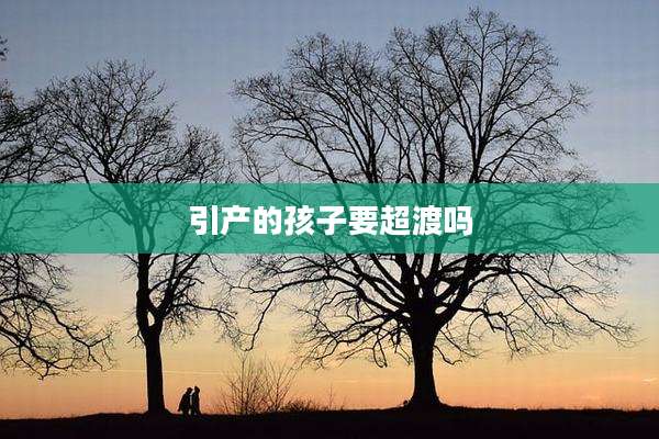 引产的孩子要超渡吗