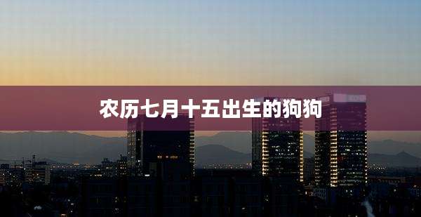 农历七月十五出生的狗狗