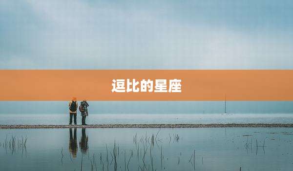逗比的星座