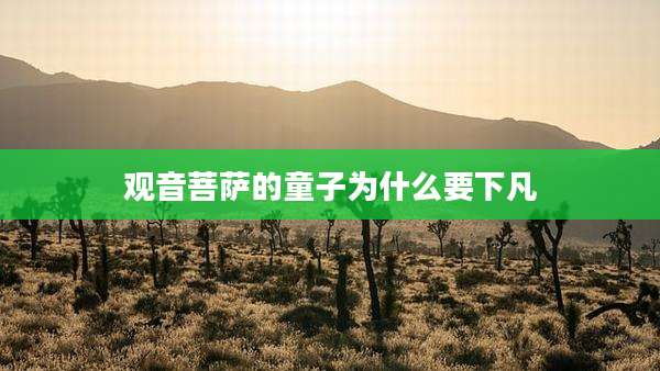 观音菩萨的童子为什么要下凡