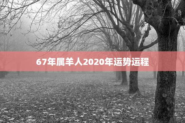 67年属羊人2020年运势运程