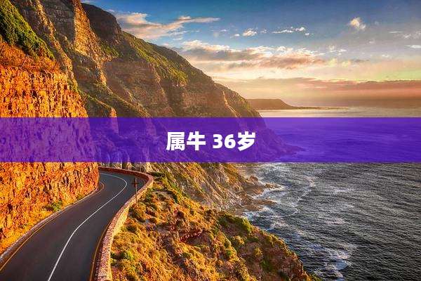 属牛 36岁