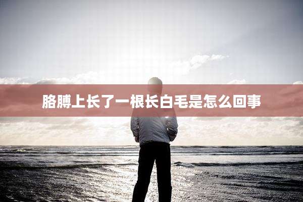 胳膊上长了一根长白毛是怎么回事