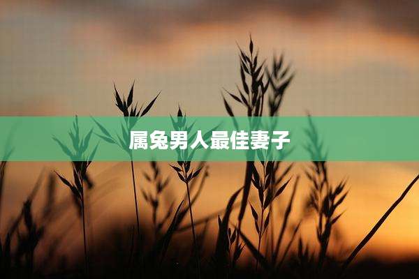 属兔男人最佳妻子