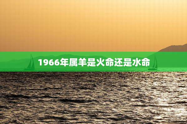 1966年属羊是火命还是水命