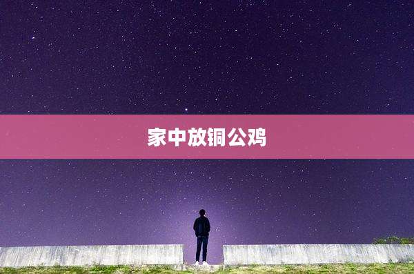 家中放铜公鸡