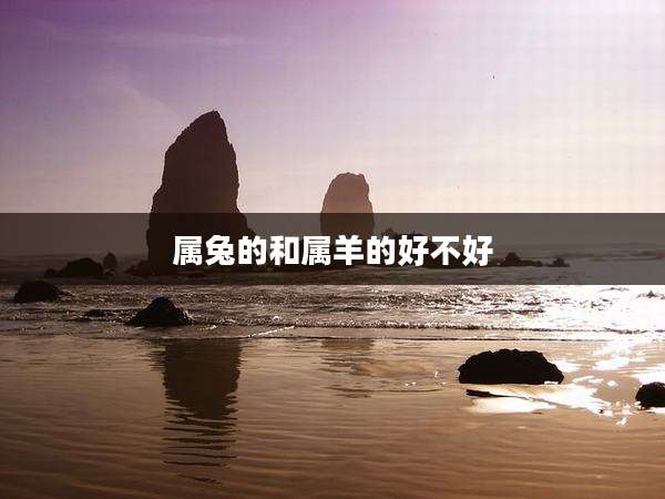 属兔的和属羊的好不好