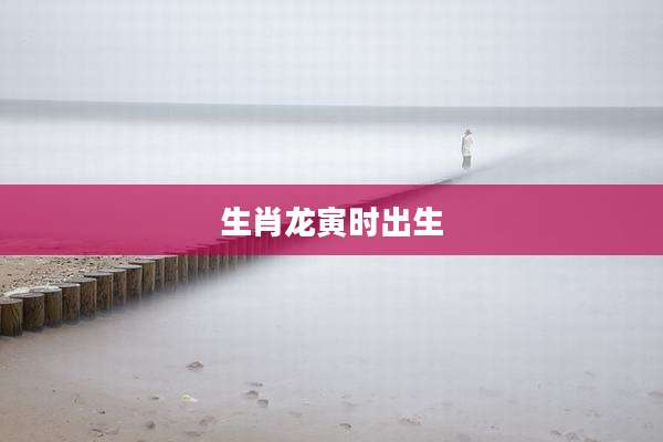 生肖龙寅时出生