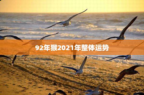 92年猴2021年整体运势
