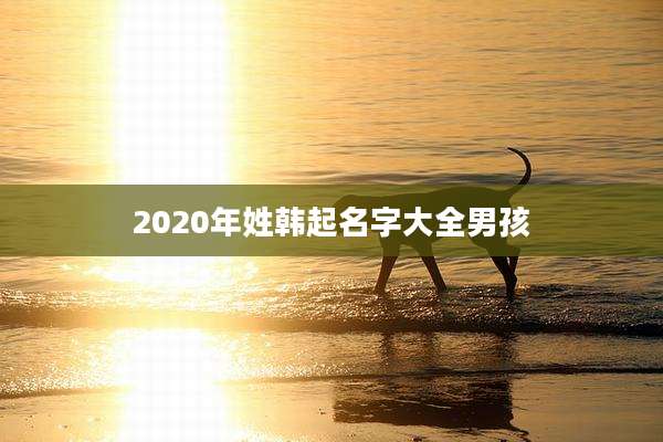 2020年姓韩起名字大全男孩