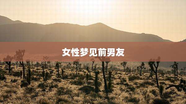 女性梦见前男友