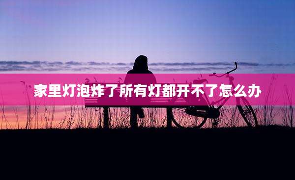 家里灯泡炸了所有灯都开不了怎么办