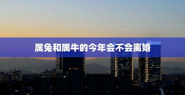 属兔和属牛的今年会不会离婚