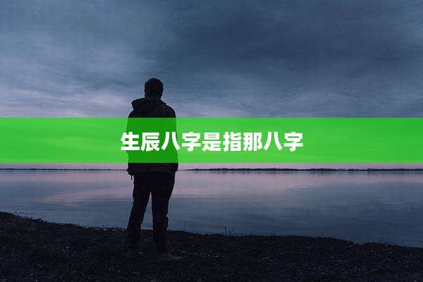 生辰八字是指那八字