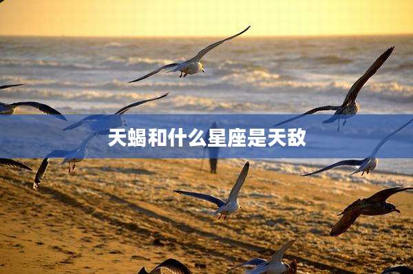 天蝎和什么星座是天敌