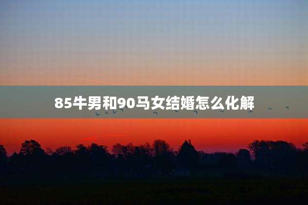 85牛男和90马女结婚怎么化解