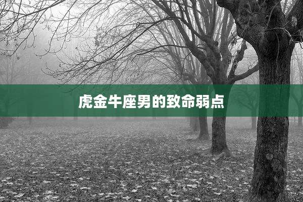 虎金牛座男的致命弱点