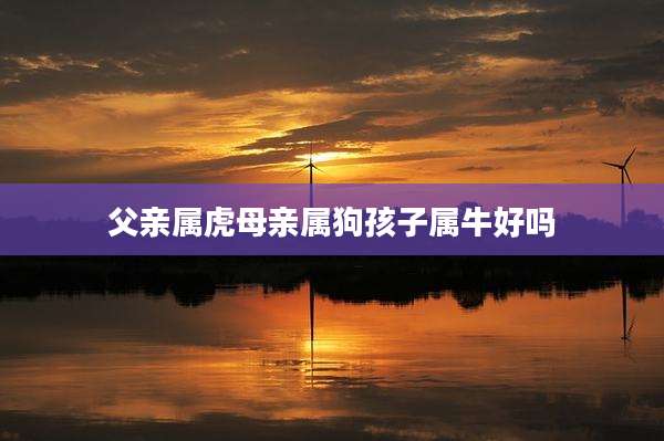 父亲属虎母亲属狗孩子属牛好吗