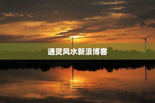 通灵风水新浪博客